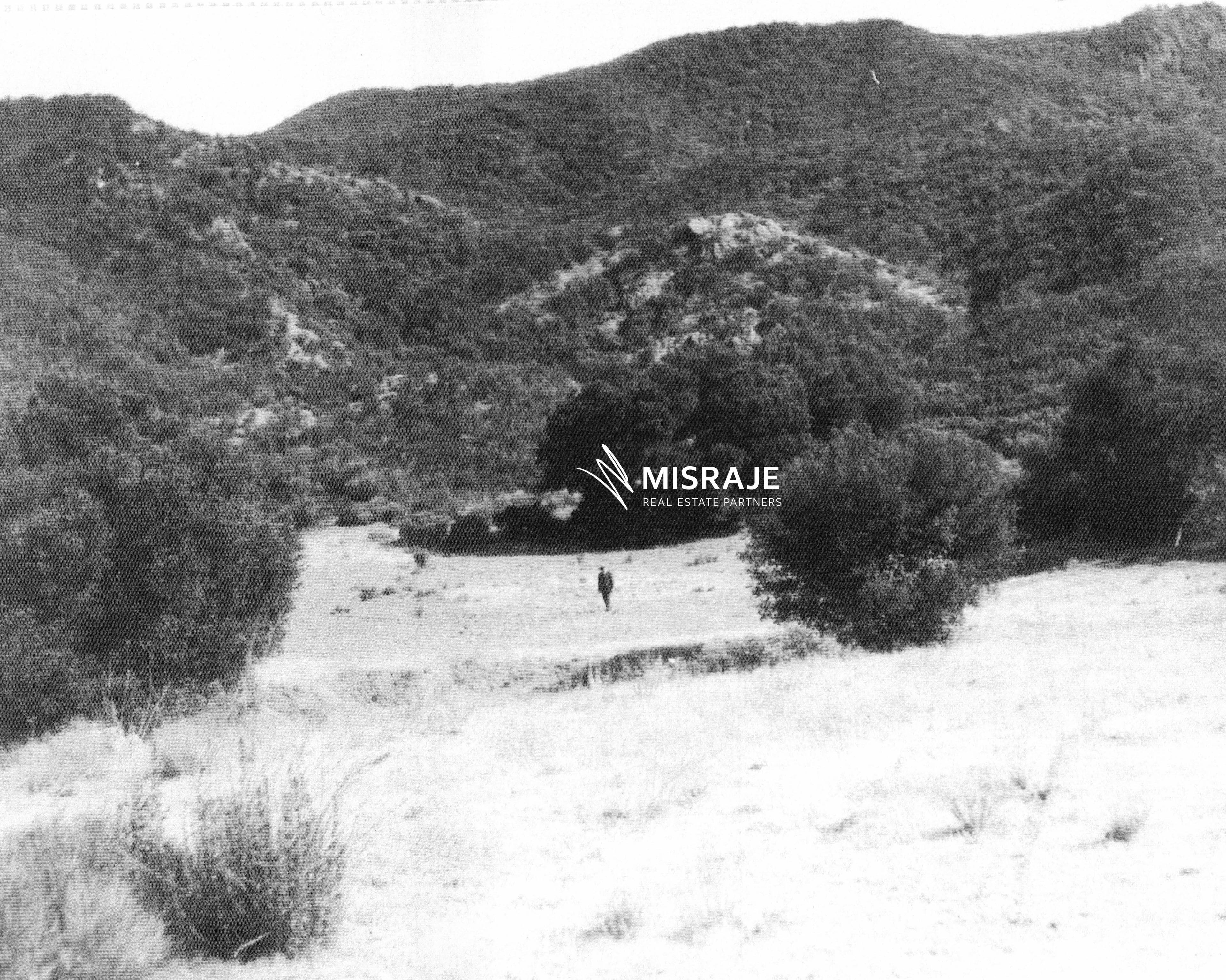 A figure in the open field at Fryman Ranch, shown in original black and white and digitally colorized. Original black-and-white version.